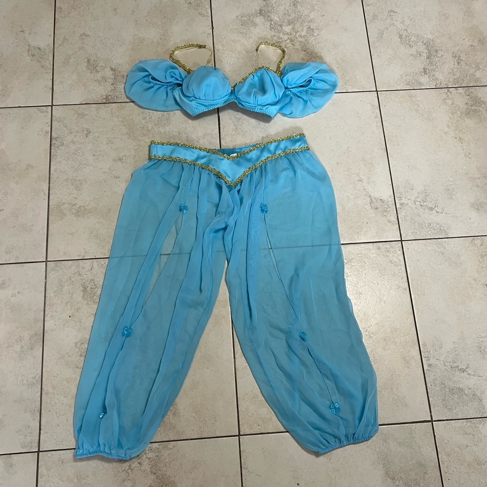 Jasmine inspired costume